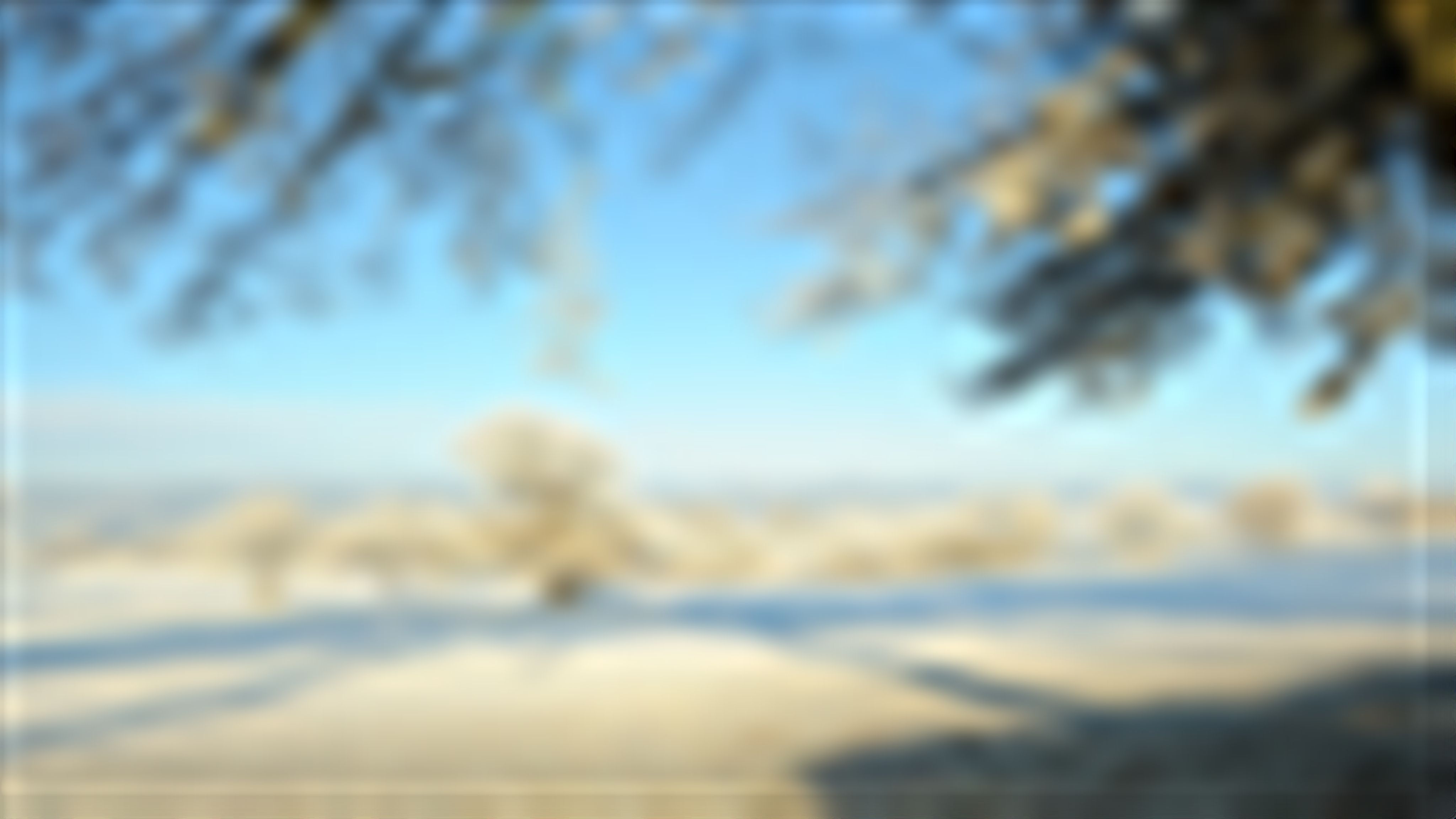 Download RadnorImages desktop image